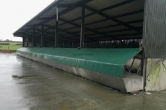 Cattle feeding trough covered in PVC